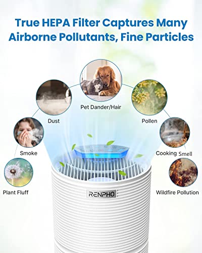 RENPHO Air Purifier for Home Large Room, True HEPA & Activated Carbon Filter, Quiet Air Cleaner, 3 Timers, Child Lock, Night Light, Filter Change Reminder, Removes Pet Dander Allergies Smoke Pollen