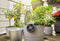 Gardena AquabBloom Kit: A Solar-Powered Irrigation System for Your Pot Plants (13300-20)