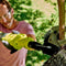 Ryobi 18V One+ Bypass Lopper - Tool Only - OLP1832B