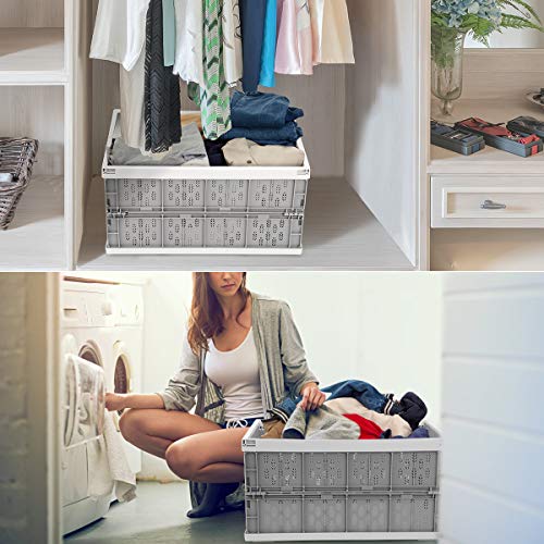 Livememory 2 Pack Collapsible Crates - Foldable Crates, 31 Liters Plastic Milk Crate Storage Bin for Home, Laundry, Clothes(17.7x 12 x 9 inches)