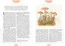 Kew - The Magic of Mushrooms: Fungi in folklore, superstition and traditional medicine