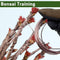 ZELARMAN Bonsai Training Wire Set of 4 - Total 128 Feet(32 Feet Each Size) 3 Size - 1.0MM,1.5MM,2.0MM - Corrosion and Rust Resistant (with Bonsai Wire Cutter)