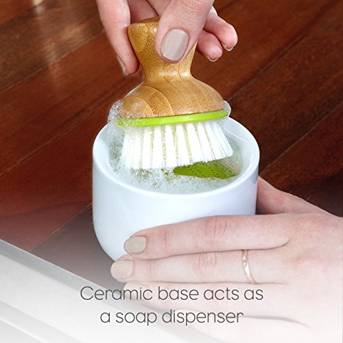 Full Circle Bubble Up Dish Brush, White (Pack of 6), Green, Pack of 6 - Brushes