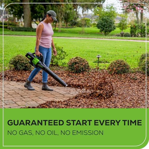 GreenWorks BL80L2510 80V Jet Electric Leaf Blower
