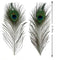 100PCS Natural Peacock Feathers with Eye Peacock Tail Feathers 10" - 12" (25-30cm) Perfect for Wedding Party Arts and Crafts Home Decorations (100, Natural Color)