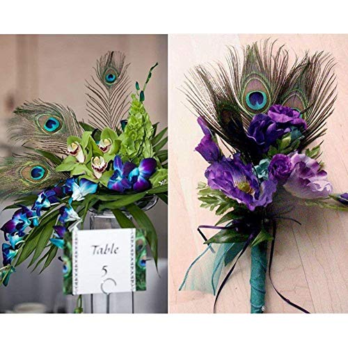 100pcs Natural Peacock Feathers with Eye Peacock Tail Feathers 10-12inch (25-30cm) Perfect for Wedding Party Arts and Crafts Home Decorations