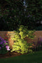 Paulmann 93689 Plug & Shine Sting LED Outdoor Light Including 3 x 6 Watt Dimmable Garden Spike Anthracite Garden Light Aluminium Outdoor 3000 K