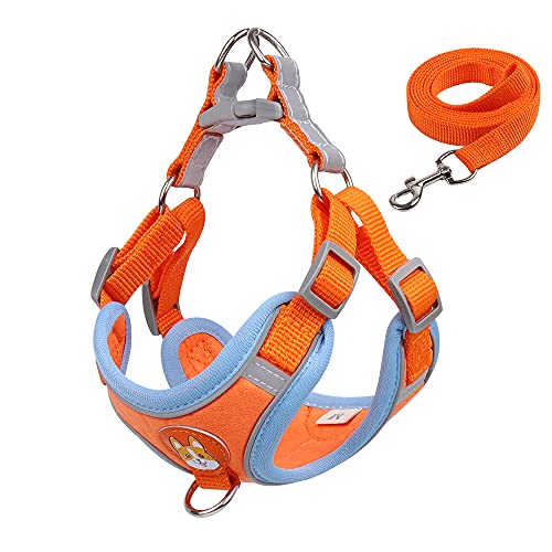 New Reflective Dog Harness for Small Dogs,Soft Suede Puppy Harness and Leash Set,Escape Proof Small Dog and Cat Harness,Step-in Dog Vest Harness for Extra Small,Medium Dogs,Breathable Dog Rope