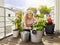 Gardena AquabBloom Kit: A Solar-Powered Irrigation System for Your Pot Plants (13300-20)