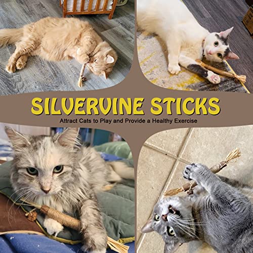 Catnip Toys Cat Toy Natural Silvervine Sticks, Catnip Cat Chew Sticks for Teeth Cleaning, Matatabi Kitten Dental Interactive Toy for Cats