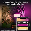 Philips Hue 915005731801 White and Colour Ambience, Outdoor Extension Pedestal Calla Base Unit, 8W, IP65 (Extension/Add on)