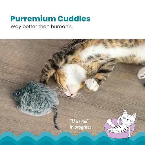 Petstages Cat Toy Quiet Nighttime Cuddle Toys Catnip Toys