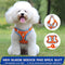 New Reflective Dog Harness for Small Dogs,Soft Suede Puppy Harness and Leash Set,Escape Proof Small Dog and Cat Harness,Step-in Dog Vest Harness for Extra Small,Medium Dogs,Breathable Dog Rope