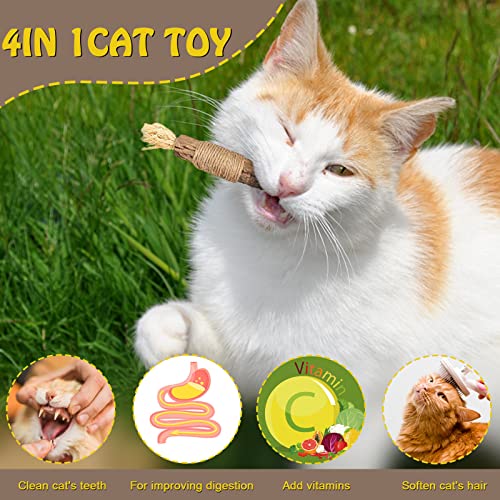 Catnip Toys Cat Toy Natural Silvervine Sticks, Catnip Cat Chew Sticks for Teeth Cleaning, Matatabi Kitten Dental Interactive Toy for Cats