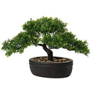 U/S Bonsai Tree, Fake Plants Ceramic Potted Tree Artificial Japanese Cedar Bonsai Tree Decoration for Home Desk Office Bathroom Kitchen Farmhouse Indoor/Outdoor (Bonsai Tree