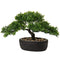U/S Bonsai Tree, Fake Plants Ceramic Potted Tree Artificial Japanese Cedar Bonsai Tree Decoration for Home Desk Office Bathroom Kitchen Farmhouse Indoor/Outdoor (Bonsai Tree #04)