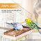 Corner Seat Boards 10 x 20 cm with Natural Wooden Border for Birds such as Cockatiels Budgies Canaries etc. Best Cage Accessories Bird Seat Board Seat Board Including Fixings Material Set of 2