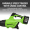 Greenworks 48V (2 x 24V) Cordless Axial Blower (515 CFM / 125 MPH), (2) 2.0Ah Batteries and Dual Port Charger with 24V Pole Saw