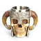 ZNZNANG Viking Warrior Skull Mug , Medieval Skull Drinkware Mug Stainless Steel Liner ,Unique Gifts for Men's Father's Da（550ml/19oz）