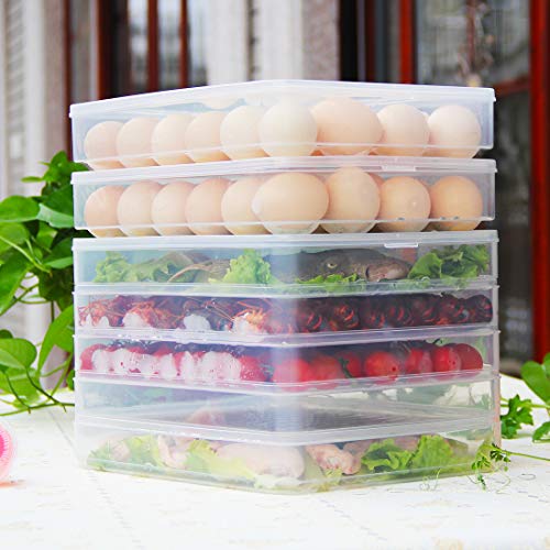 STARSLIFE Egg Holder for Refrigerator with Lid, Covered Eggs Tray Carrier Food Storage Containers, Plastic Stackable Organizer Case Protect and Keep Fresh for Fridge, Total Stores 48 eggs (Pack of 2)