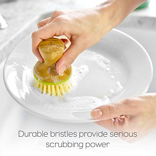Full Circle Bubble Up Dish Brush, White (Pack of 6), Green, Pack of 6 - Brushes