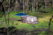 Coleman Camping Instant Up tent, 4 Person Silver Series Easy Setup Tent.