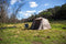 Coleman Camping Instant Up tent, 4 Person Silver Series Easy Setup Tent.