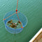 Palmyth Wire Grid Bottom Crab Nets Two Ring Crab Kit with Harness and Bait Clip 24 X 20 X 12