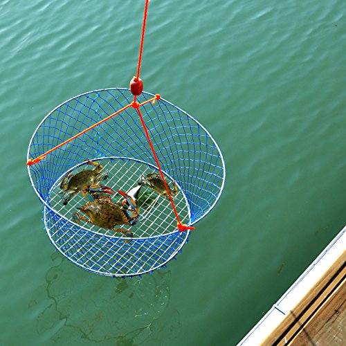 Palmyth Wire Grid Bottom Crab Nets Two Ring Crab Kit with Harness and Bait Clip 24 X 20 X 12
