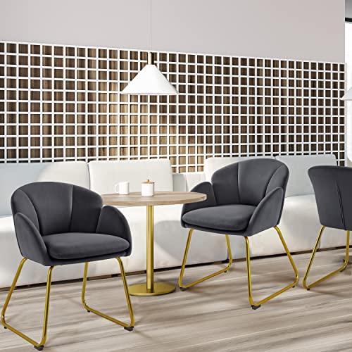 Yaheetech Flower Shape Velvet Armchair, Modern Side Chair Vanity Chair with Golden Metal Legs for Living Room/Dressing Room/Bedroom/Home Office/Kitchen, Dark Gray