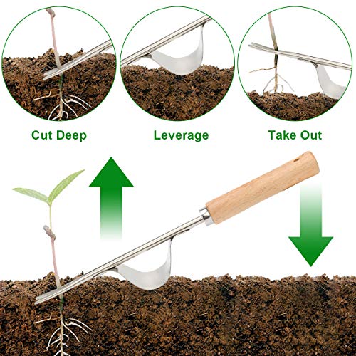 Zhaoyao Weed Puller Tool, Garden Crack Hand Weed Remover, Stainless Steel Crevice Weeding Tool Lawn Yard Gardening Tool with Wood Handle for Sidewalk and Patio 2 Pack