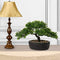 U/S Bonsai Tree, Fake Plants Ceramic Potted Tree Artificial Japanese Cedar Bonsai Tree Decoration for Home Desk Office Bathroom Kitchen Farmhouse Indoor/Outdoor (Bonsai Tree