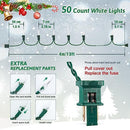 HEYFUNi Clear Christmas Lights 50 Count 13Feet Mini Clear Lights Set, Incandescent Bulb Mini String Lights for Indoor Outdoor Christmas Tree Party Weeding Home Xmas Holiday Decorations,Green Wire