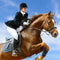 Zhichengbosi Horse whips Crop, Horse Crop with Faux Leather, Equestrian Riding Crops for Horses, Black Horse Whips for Show and Riding (Black, 30)