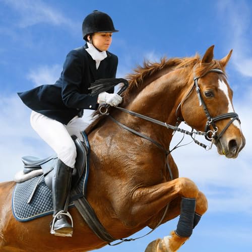 Zhichengbosi Horse whips Crop, Horse Crop with Faux Leather, Equestrian Riding Crops for Horses, Black Horse Whips for Show and Riding (Black, 30)