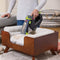 BISSELL Stain Eraser Pet 3318F Cordless Portable Spot Cleaner for Carpets and Upholstery