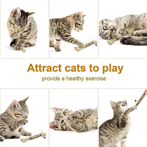 6 PCS Natural Silver Vine Sticks Cat Toys,Cat Snacks Sticks,Catnip Cat Chew Toys for Kittens Teeth Cleaning,Increase Appetite,Calm Cat Anxiety and Stress,Aggressive Chewers Cat Dental Toy