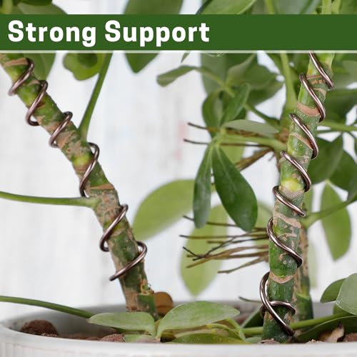 ZELARMAN Bonsai Training Wire Set of 4 - Total 128 Feet(32 Feet Each Size) 3 Size - 1.0MM,1.5MM,2.0MM - Corrosion and Rust Resistant (with Bonsai Wire Cutter)