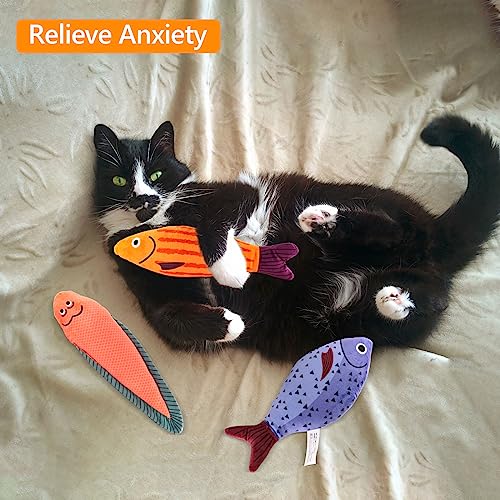 Catnip Toy for Indoor Cats, 3 PCS Plush Cat Toys, Fish Cat Toy, Teething Interactive Catnip Filled, Cat Chew Toys for Cat Kitten Kitty