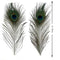 100pcs Natural Peacock Feathers with Eye Peacock Tail Feathers 10-12inch (25-30cm) Perfect for Wedding Party Arts and Crafts Home Decorations