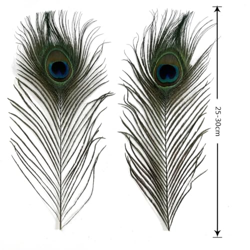 100pcs Natural Peacock Feathers with Eye Peacock Tail Feathers 10-12inch (25-30cm) Perfect for Wedding Party Arts and Crafts Home Decorations