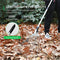 VIVOSUN 2-Pack Leaf Rake Set, Adjustable Garden Camping Rake Includes 15-Tine 64'' Rake and 9-Tine 30'' Rake, Metal Rake with Collapsing Tines and Telescopic Handle for Garden Lawn Yard Cleaning