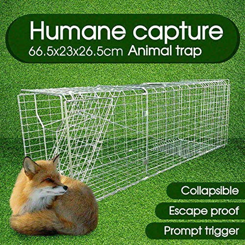 Animal Trap Cage Folding Humane Live Catch Possum Fox Rat Cat Rabbit Bird L/XL/XXXL (66.5 x 23 x 26.5cm)