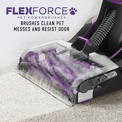 Hoover SmartWash Pet Automatic Carpet Cleaner with Spot Chaser Stain Remover Wand, Shampooer Machine for Pets, with Storage Mat, FH53050, Purple
