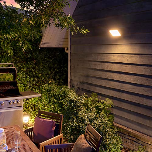 Philips Hue White and Colour Ambiance LED Discover Black Garden FloodLight Compatible with Alexa