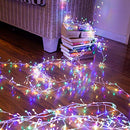 1000 LED Copper Wire Centipede Fairy Light for Christmas/Shop/Party Decoration