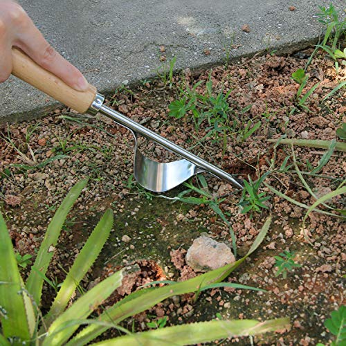 Zhaoyao Weed Puller Tool, Garden Crack Hand Weed Remover, Stainless Steel Crevice Weeding Tool Lawn Yard Gardening Tool with Wood Handle for Sidewalk and Patio 2 Pack
