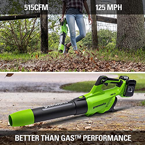 Greenworks 48V (2 x 24V) Cordless Axial Blower (515 CFM / 125 MPH), (2) 2.0Ah Batteries and Dual Port Charger with 24V Pole Saw