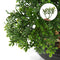 U/S Bonsai Tree, Fake Plants Ceramic Potted Tree Artificial Japanese Cedar Bonsai Tree Decoration for Home Desk Office Bathroom Kitchen Farmhouse Indoor/Outdoor (Bonsai Tree