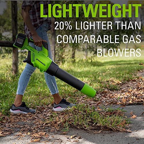 Greenworks 48V (2 x 24V) Cordless Axial Blower (515 CFM / 125 MPH), (2) 2.0Ah Batteries and Dual Port Charger with 24V Pole Saw